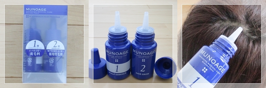 Wアプローチヘアプログラム